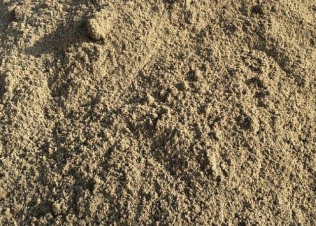 Портрет человека